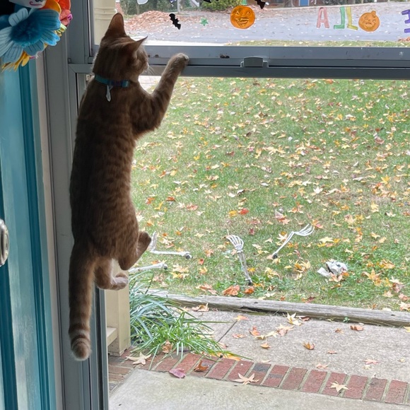 Meet your Posher, Jess - Picture 13 of 16